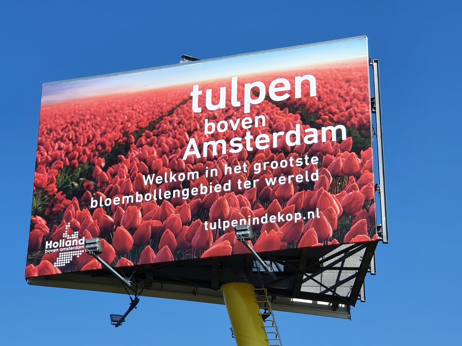 Tulpen boven Amsterdam
